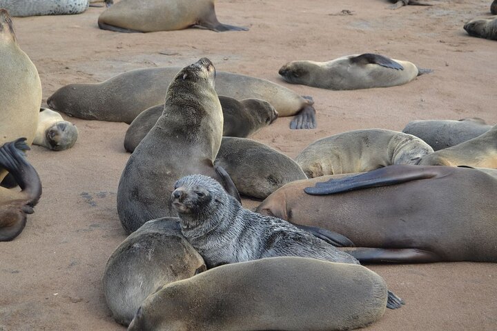Skeleton Coast Park, and Ship Wrecks Old Oil Rigg, Diamond Field