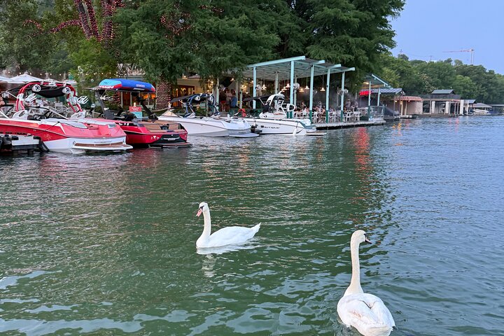 1 hr Lake Austin Boat Cruise. BYOB (Shared - Single Tickets)