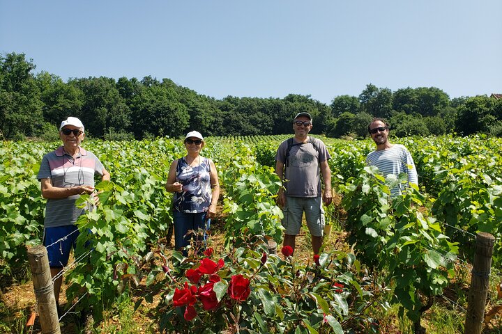 Private tour in Burgundy with your professional guide!