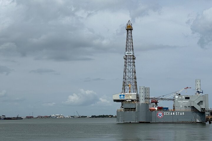 Galveston Historical Harbor Cruise with Dolphins