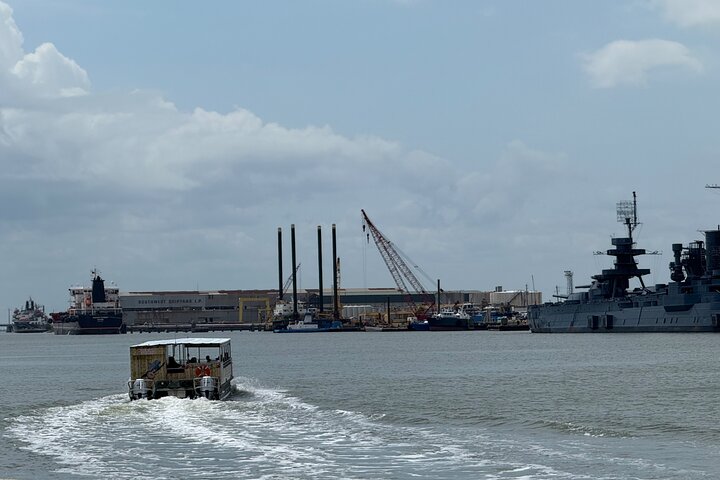 Galveston Historical Harbor Cruise with Dolphins