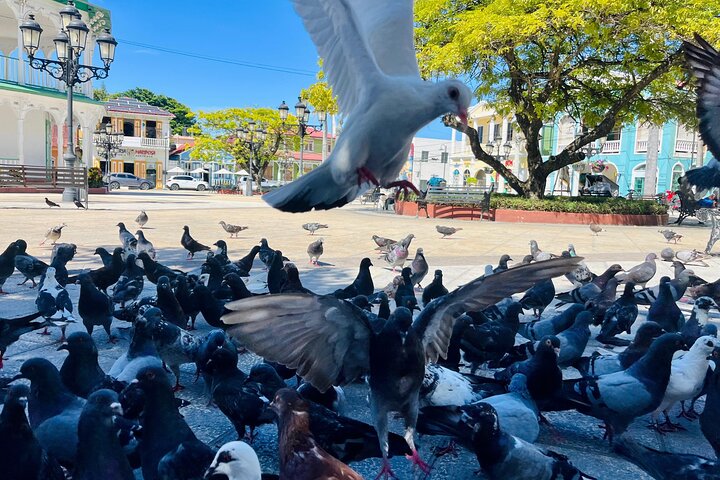 Puerto Plata City Private Tour