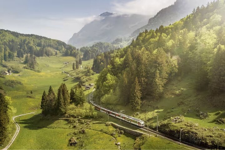 From Basel: Premium Panoramic train, Lucerne & Interlaken Tour