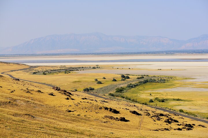Antelope Island Wildlife Expedition Great Salt Lake Adventure