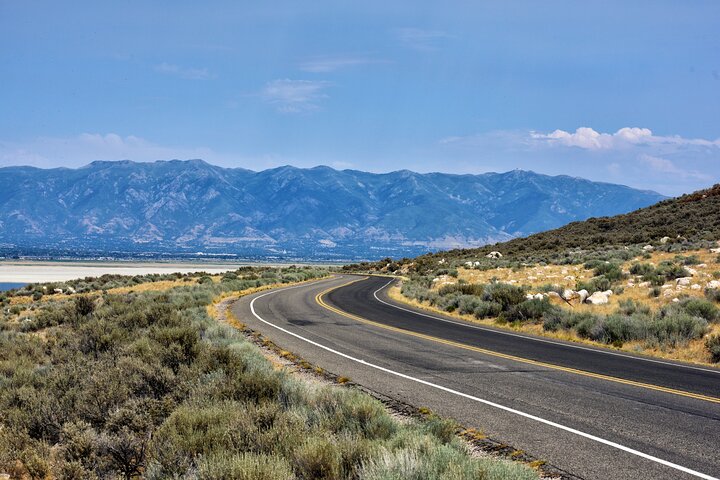 Antelope Island Wildlife Expedition Great Salt Lake Adventure