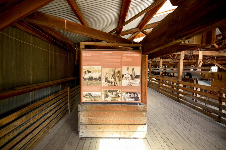 Antelope Island Wildlife Expedition Great Salt Lake Adventure