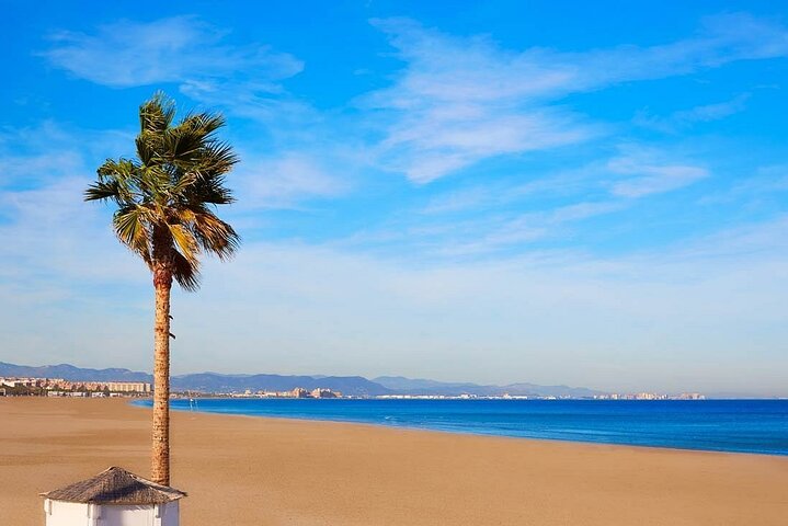 Private TukTuk Tour 2 Hours of Valencia