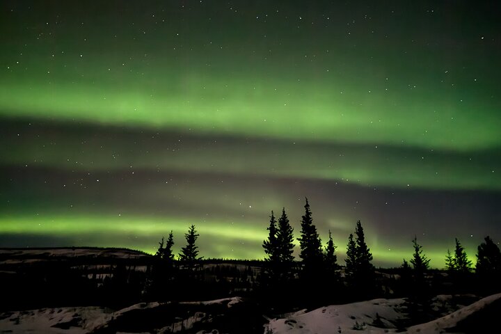 Small Group Yukon Aurora Viewing