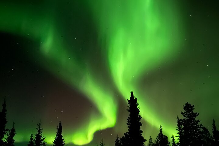 Small Group Yukon Aurora Viewing