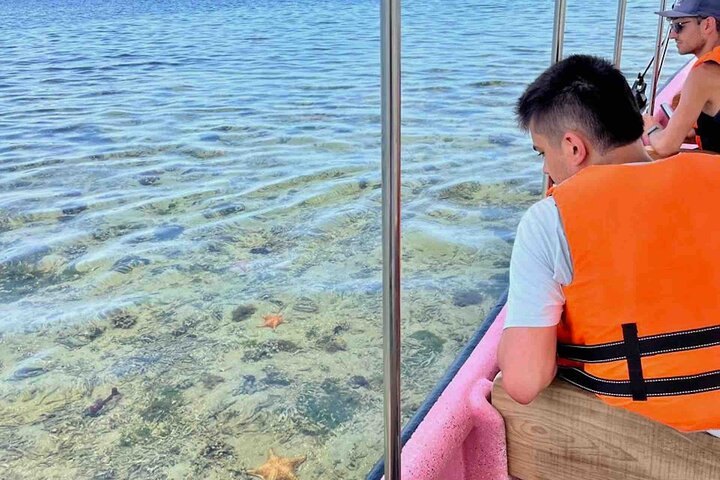 Bocas del Toro Island Hopping Day Tour in Zapatilla Beach