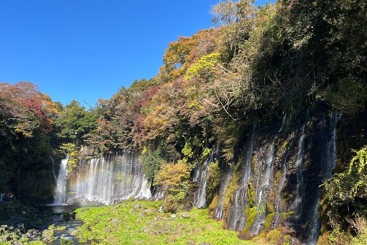 Shimizu Port Private Car Tour – Mt. Fuji & Local Highlights