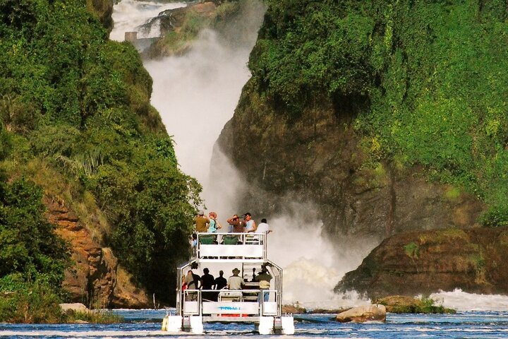 Nile River Boat Safari (Launch Cruise)