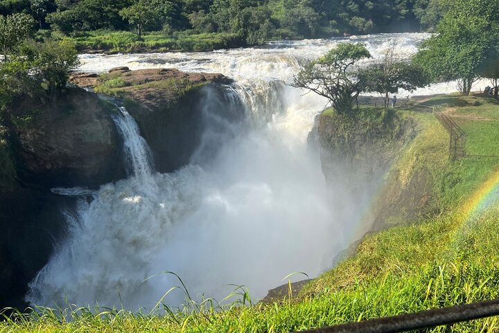 Nile River Boat Safari (Launch Cruise)