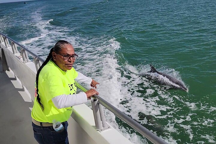 Sunset Dolphin Watch Cruise