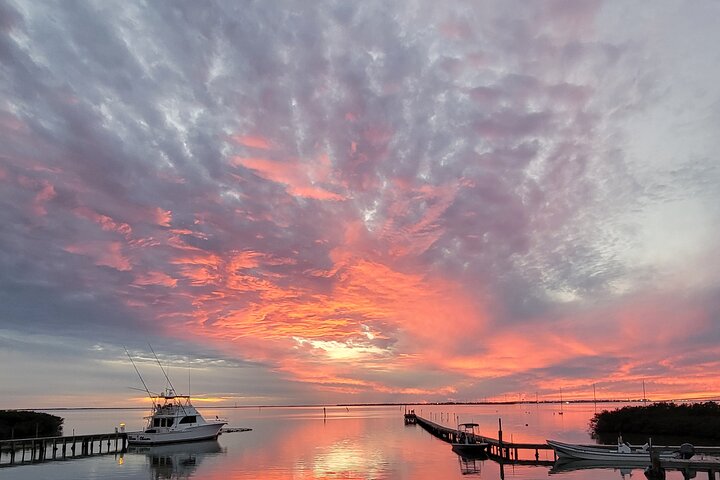 Sunset Dolphin Watch Cruise