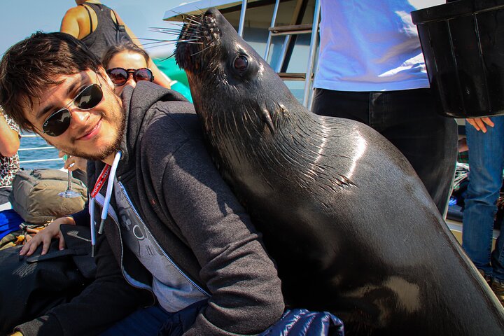 Pangaea Tours - Combo Sandwich Harbour + Dolphin & Seal Cruise