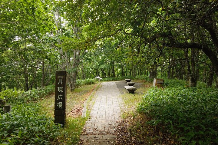 Private Tour with Kushiro Marsh, Tancho, and Local Market