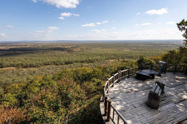 Private Tour with Kushiro Marsh, Tancho, and Local Market