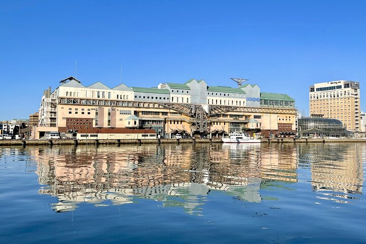 Private Tour with Kushiro Marsh, Tancho, and Local Market