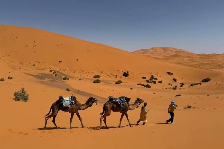 Overnight Camel Trek in Merzouga Desert