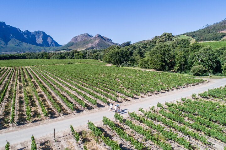 Franschhoek Wine Walk with Lunch