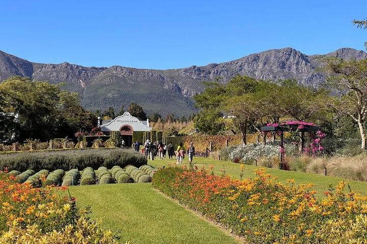 Franschhoek Wine Walk with Lunch