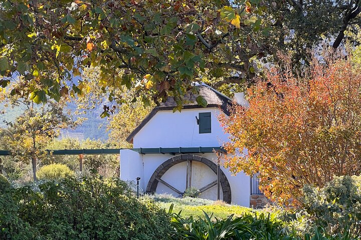 Franschhoek Wine Walk with Lunch