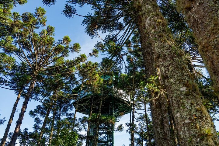 Caracol Park ticket