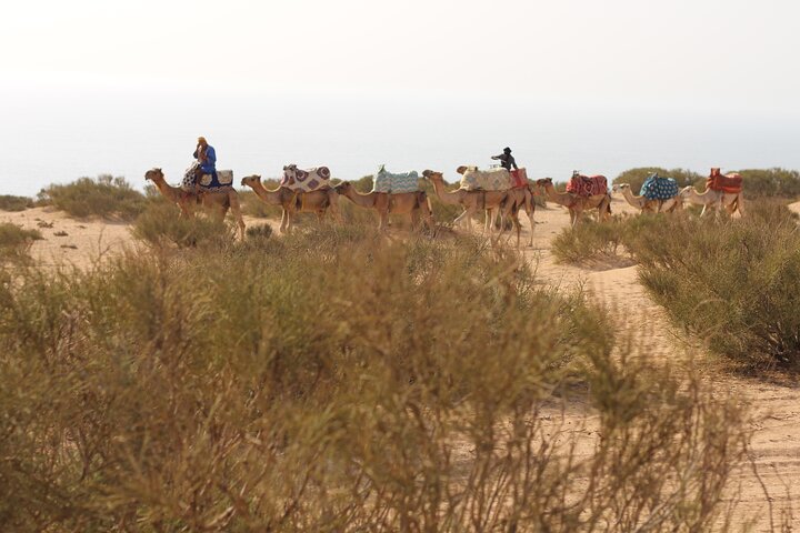 Agadir/Taghazout: Sunset Sandboarding Quad Bike & Moroccan Dinner