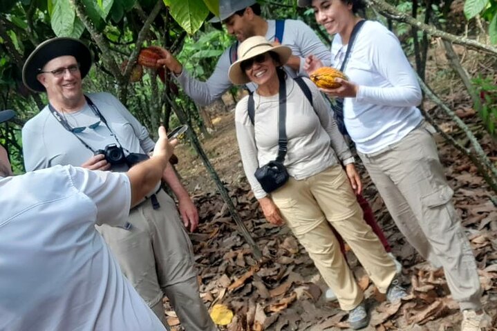 Cocoa and Tropical Fruits Farm with Fine Chocolate Experience