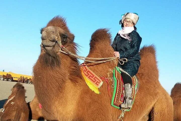 Multi Day Gobi Desert Highlights at Dunes