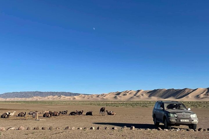 Multi Day Gobi Desert Highlights at Dunes