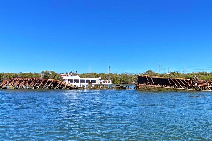 90 Minute Port Adelaide Dolphin & Ships Graveyard Cruise