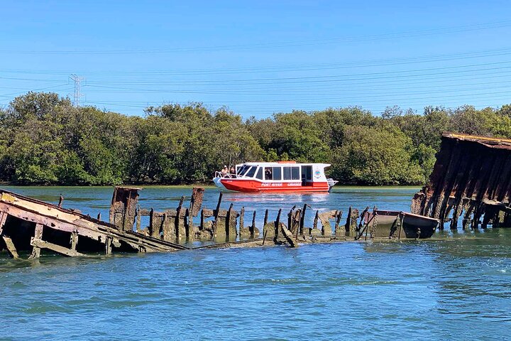 90 Minute Port Adelaide Dolphin & Ships Graveyard Cruise