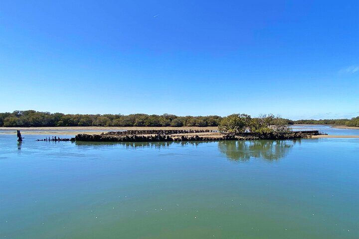 90 Minute Port Adelaide Dolphin & Ships Graveyard Cruise