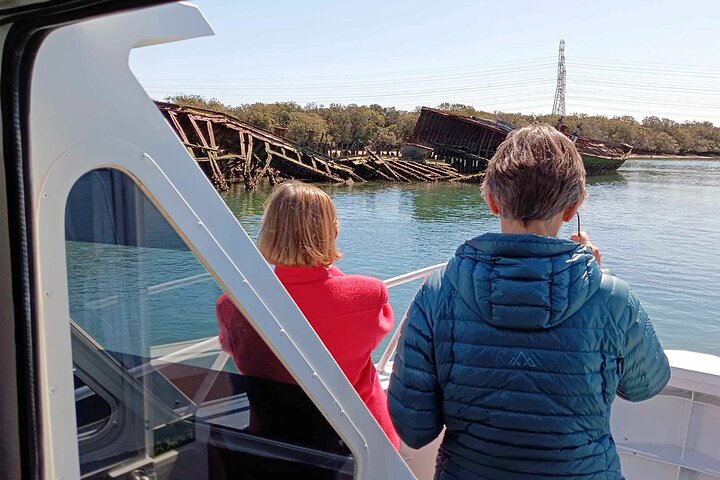 90 Minute Port Adelaide Dolphin & Ships Graveyard Cruise