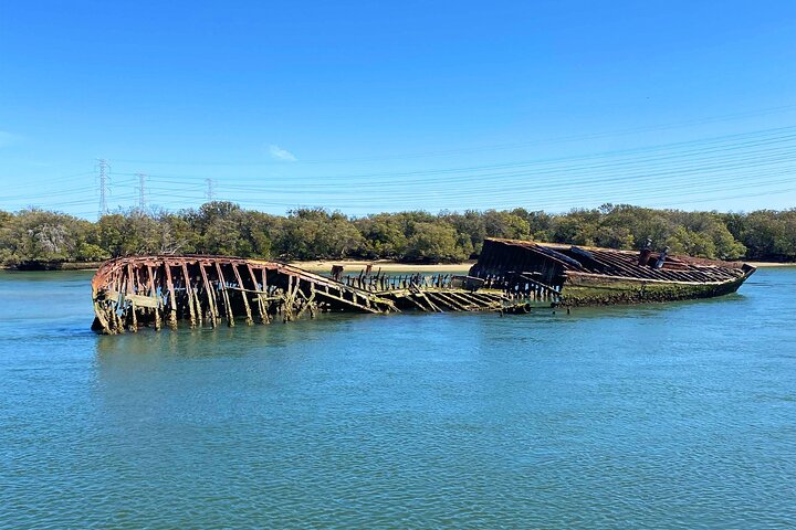 90 Minute Port Adelaide Dolphin & Ships Graveyard Cruise