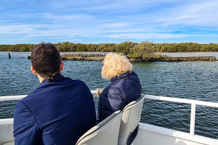 90 Minute Port Adelaide Dolphin & Ships Graveyard Cruise