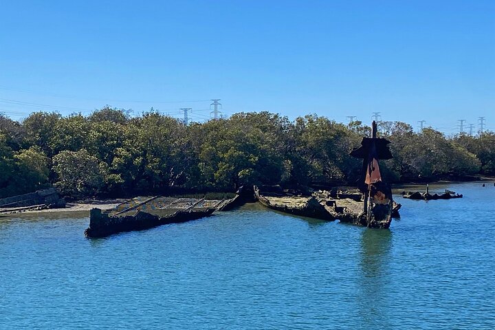 90 Minute Port Adelaide Dolphin & Ships Graveyard Cruise