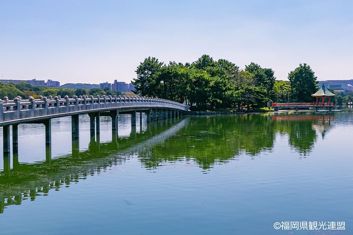 Hakata Cruise Shore Excursion Fukuoka Half Day Tour