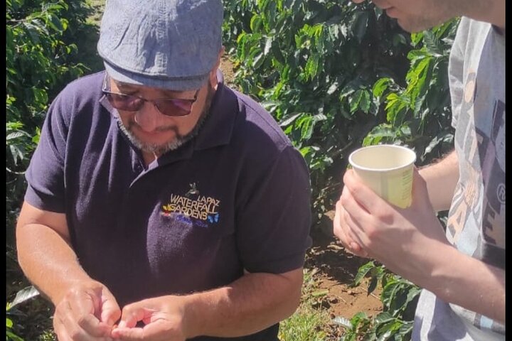 Full Day Poas Volcano, La Paz Waterfall Gardens and Coffee Plantation Experience