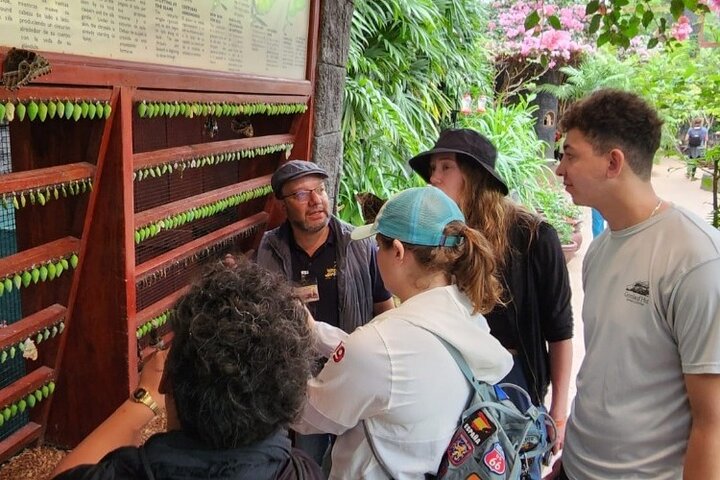 Full Day Poas Volcano, La Paz Waterfall Gardens and Coffee Plantation Experience