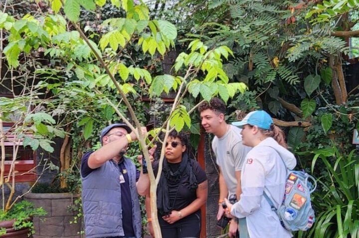 Full Day Poas Volcano, La Paz Waterfall Gardens and Coffee Plantation Experience