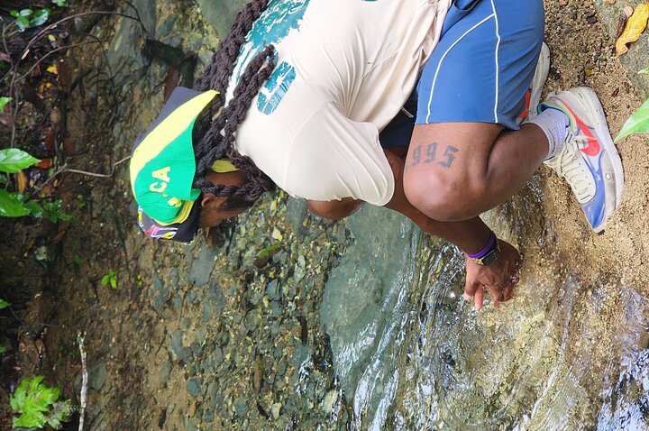 ATV Jungle Safari Tour from Montego Bay