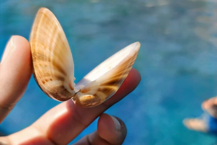 Makarska 3-Island Speedboat Tour: Golden Horn and "Little Venice"