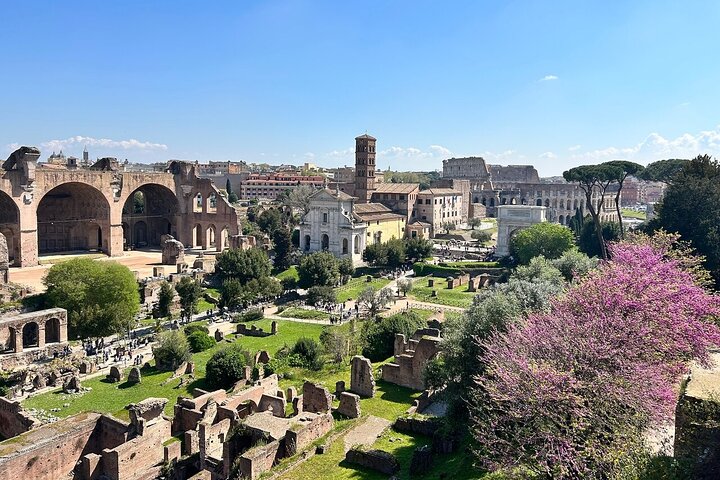 Rome: Colosseum, Forum & Palatine with Arena Access + Audio Guide