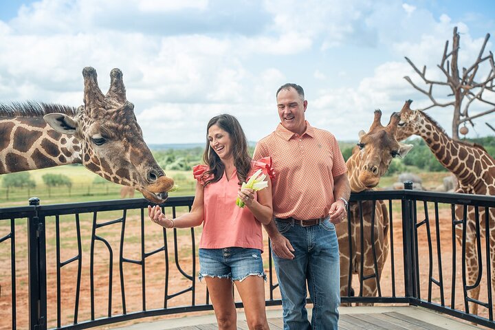 Animal Encounters