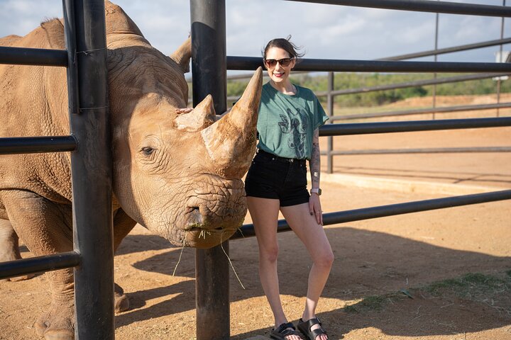 Animal Encounters