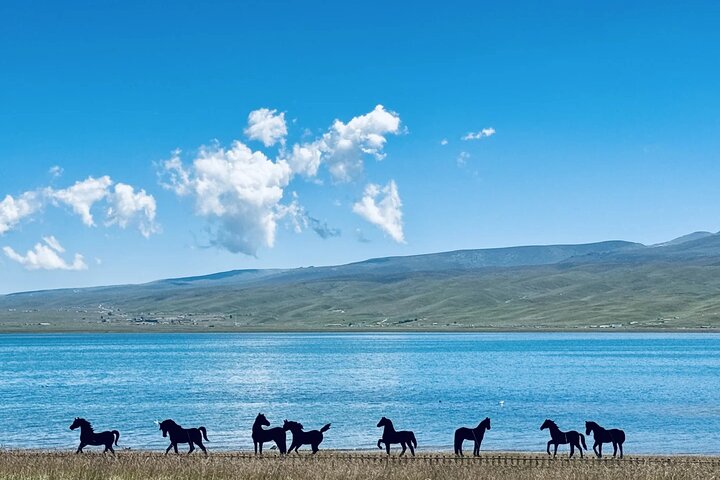 Private Day Trip to Ta’er Monastery and Lake Kokonor