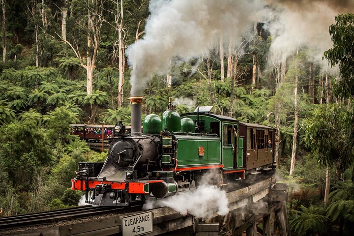 Melbourne Puffing Billy Train and Penguin Parade Day Tour Escape